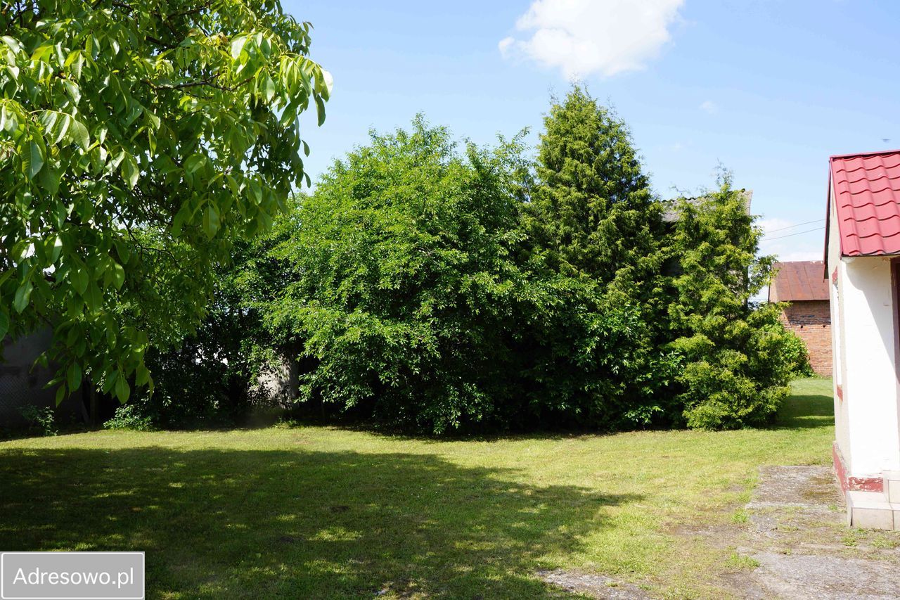 siedlisko, 4 pokoje Gola Górowska. Zdjęcie 20