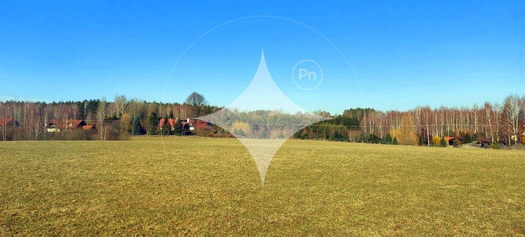 Działka rolna Marcinkowo. Zdjęcie 6