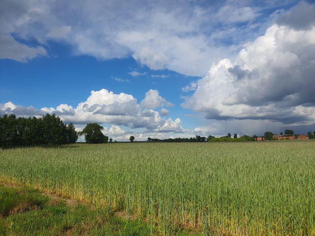 Działka budowlana Nowe Kozuby. Zdjęcie 1