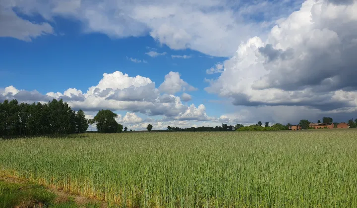 Działka budowlana Nowe Kozuby