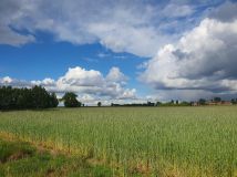 Działka budowlana Nowe Kozuby. Zdjęcie 1