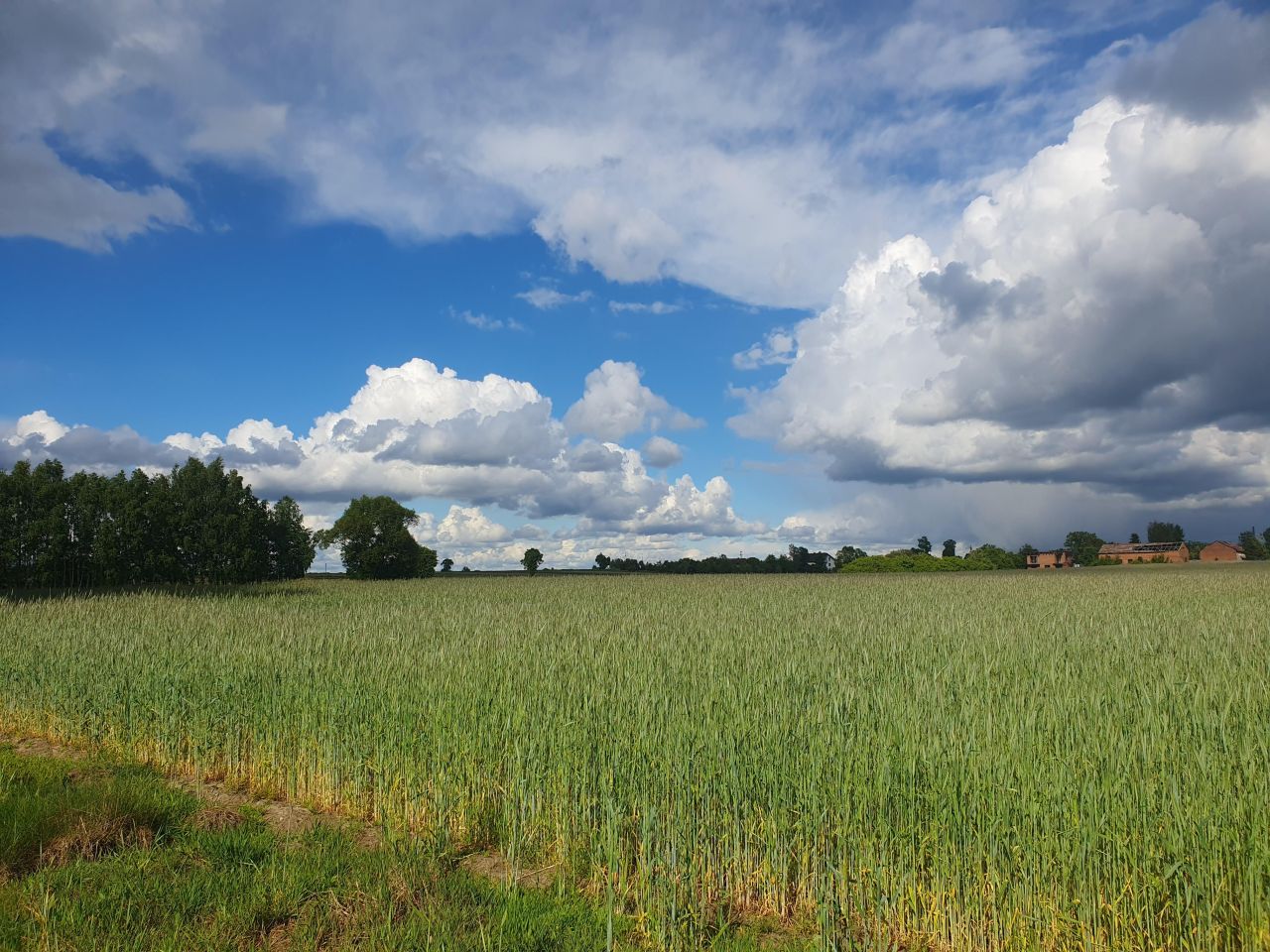 Działka budowlana Nowe Kozuby. Zdjęcie 2