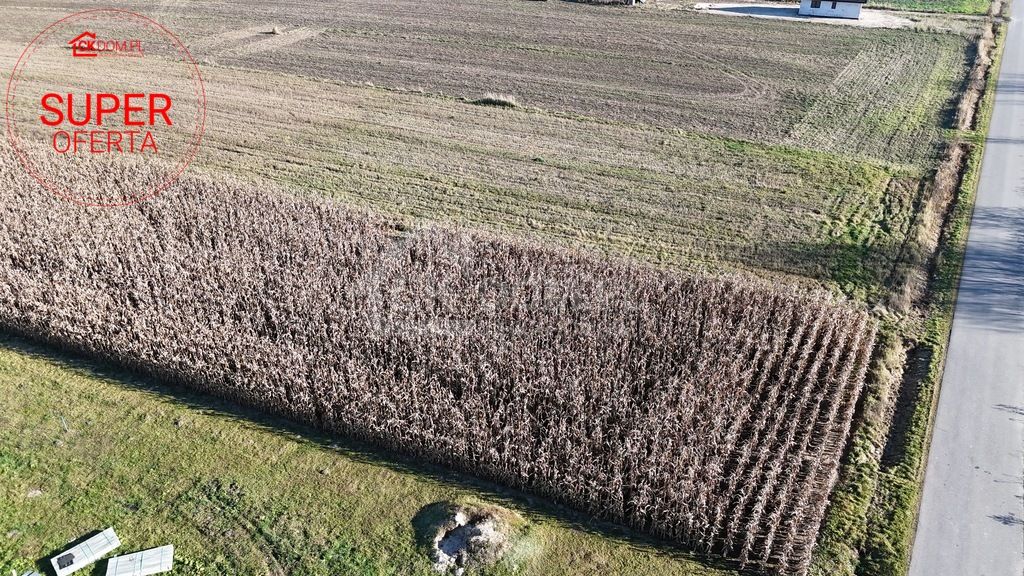 Działka budowlana Sielec. Zdjęcie 10