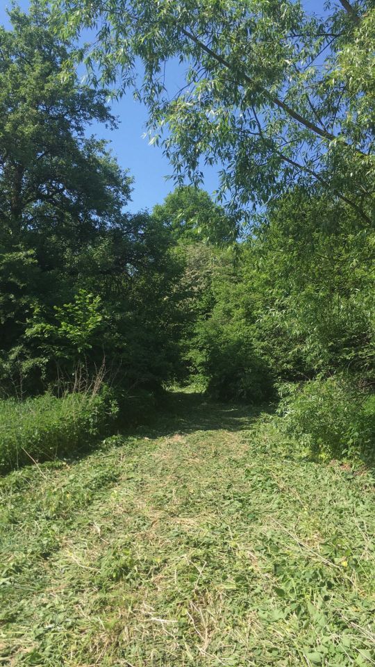 Działka rolno-budowlana Łopiennik Dolny-Kolonia. Zdjęcie 8