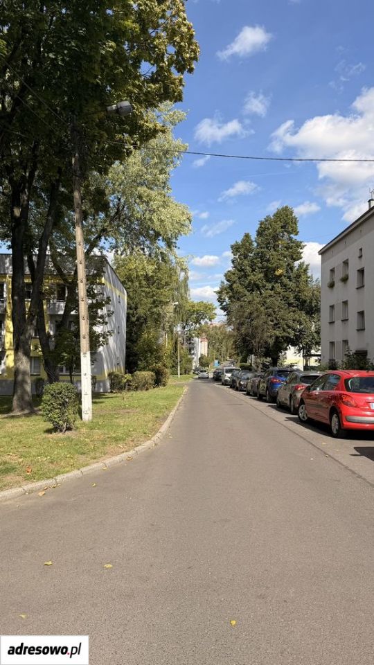 Zdjęcie 3