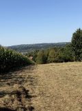 Działka rolno-budowlana Dobczyce, ul. Widokowa. Zdjęcie 2
