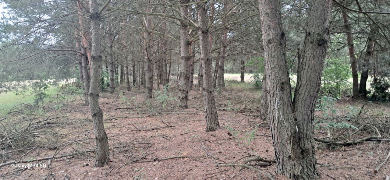 Działka rolna Podmieście. Zdjęcie 3