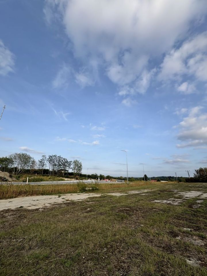 Działka inwestycyjna Zawichost. Zdjęcie 4