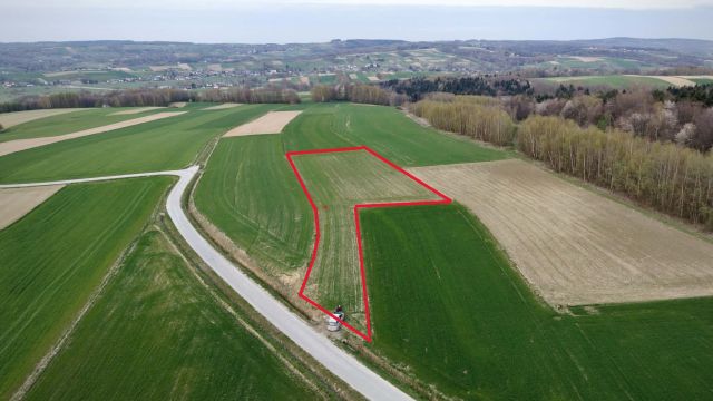 Działka budowlana Glinik Jamszcze. Zdjęcie 5