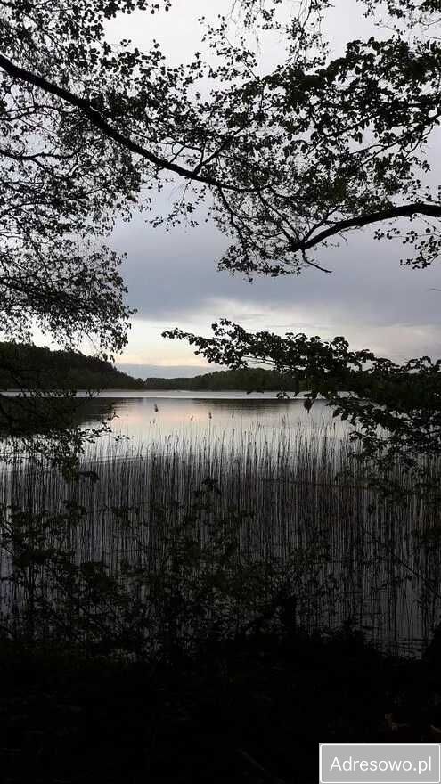 Działka budowlana Osówek. Zdjęcie 7