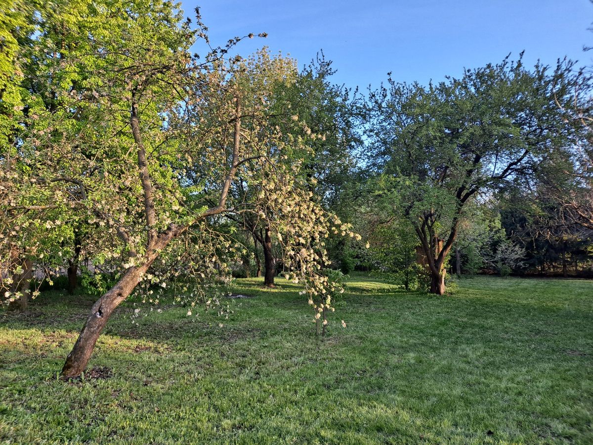 siedlisko, 3 pokoje Kleszczele, ul. Adama Mickiewicza. Zdjęcie 4