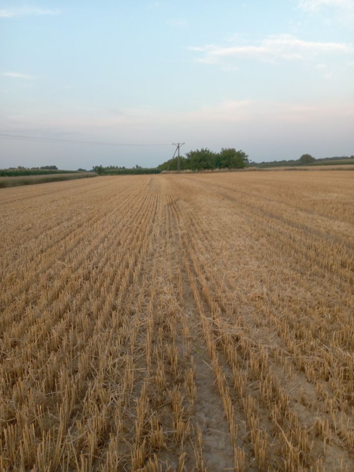 Działka budowlana Rogóżno. Zdjęcie 3