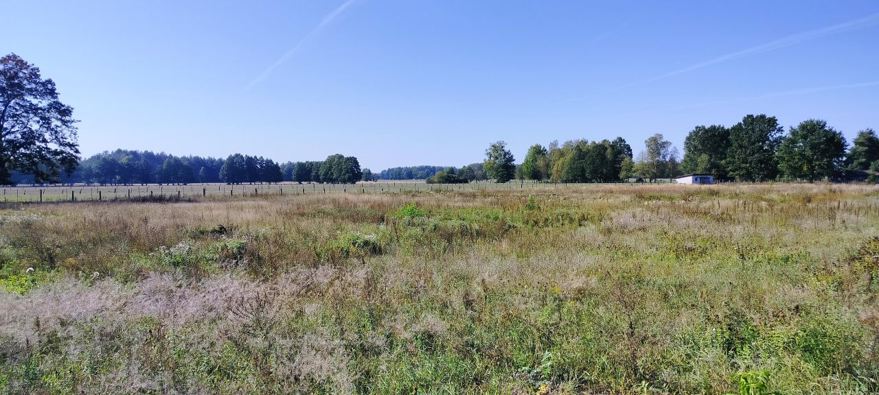 Działka rolno-budowlana Wujaki. Zdjęcie 4