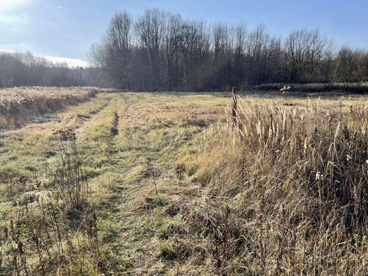 Działka budowlana Truskaw, ul. Południowa. Zdjęcie 5