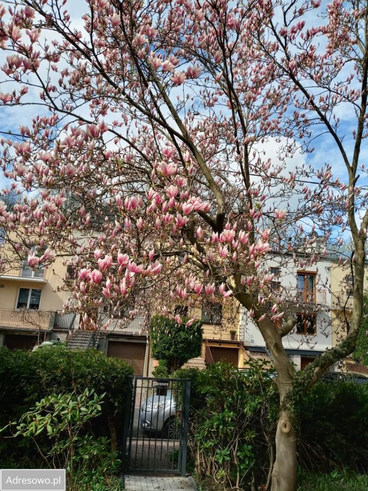 bliźniak, 3 pokoje Lublin LSM, ul. Nowogródzka. Zdjęcie 7