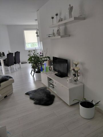 Mieszkanie 1-pokojowe Jelcz-Laskowice. Zdjęcie 12