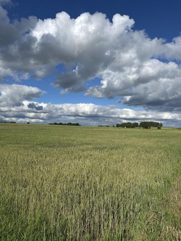 Działka budowlana Wysoka Głogowska Piaski, ul. Pogodna. Zdjęcie 1