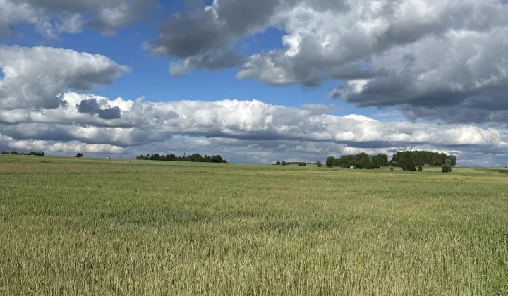 Działka budowlana Wysoka Głogowska Piaski, ul. Pogodna