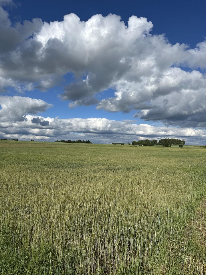 Działka budowlana Rzeszów, ul. Pogodna. Zdjęcie 4