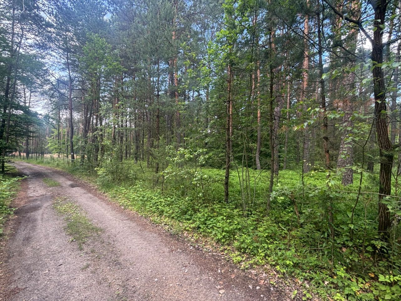 Działka budowlana Ogrodzieniec. Zdjęcie 3