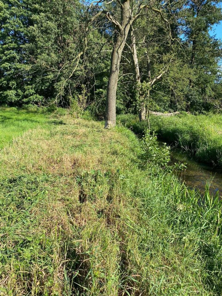 Działka rolno-budowlana Janowiec. Zdjęcie 2