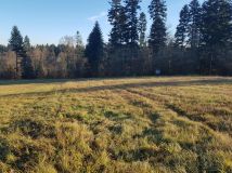 Działka budowlana Werlas. Zdjęcie 1