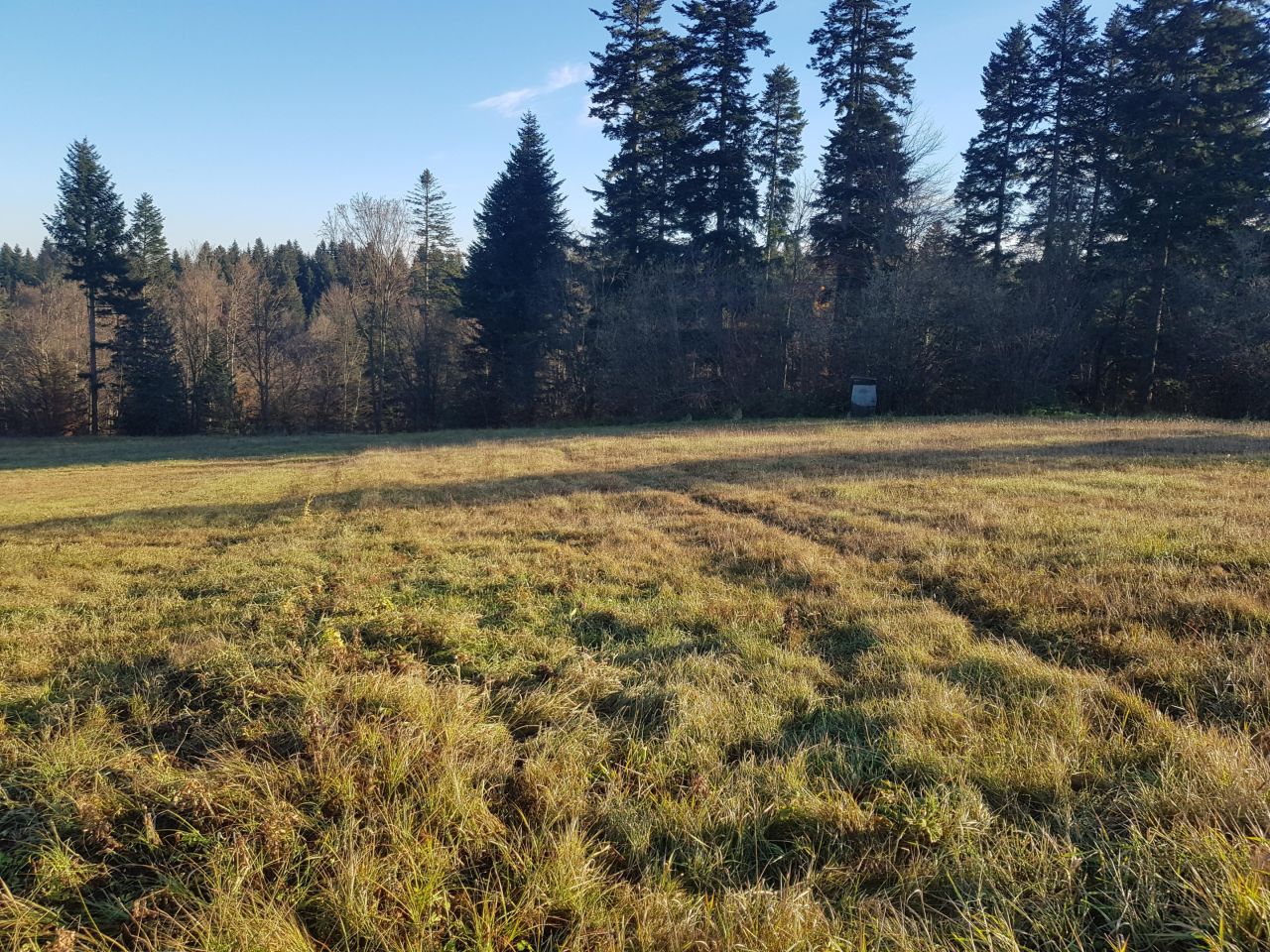 Działka budowlana Werlas. Zdjęcie 2