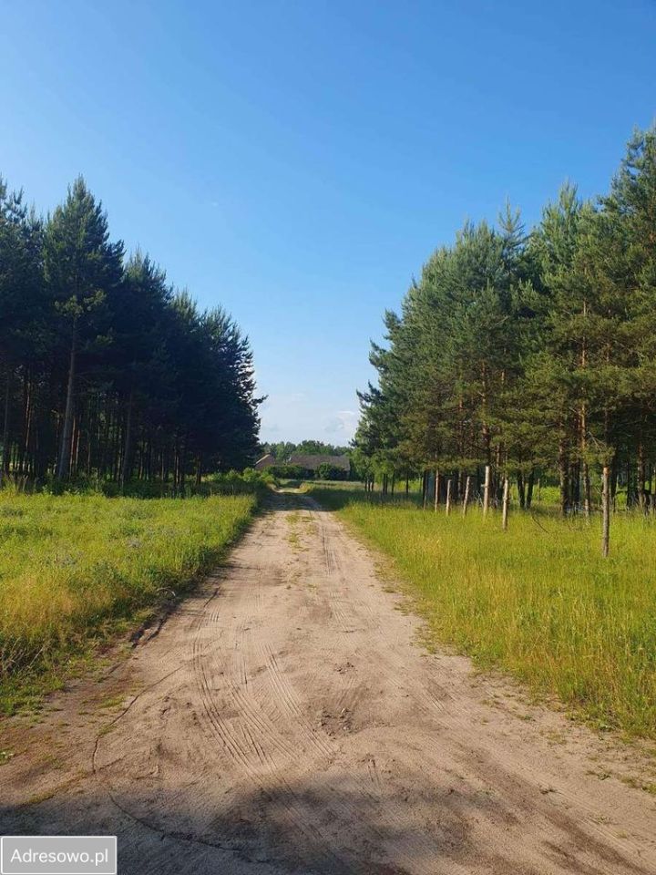 Działka rekreacyjna Panoszów Niwki, ul. Łąkowa. Zdjęcie 12