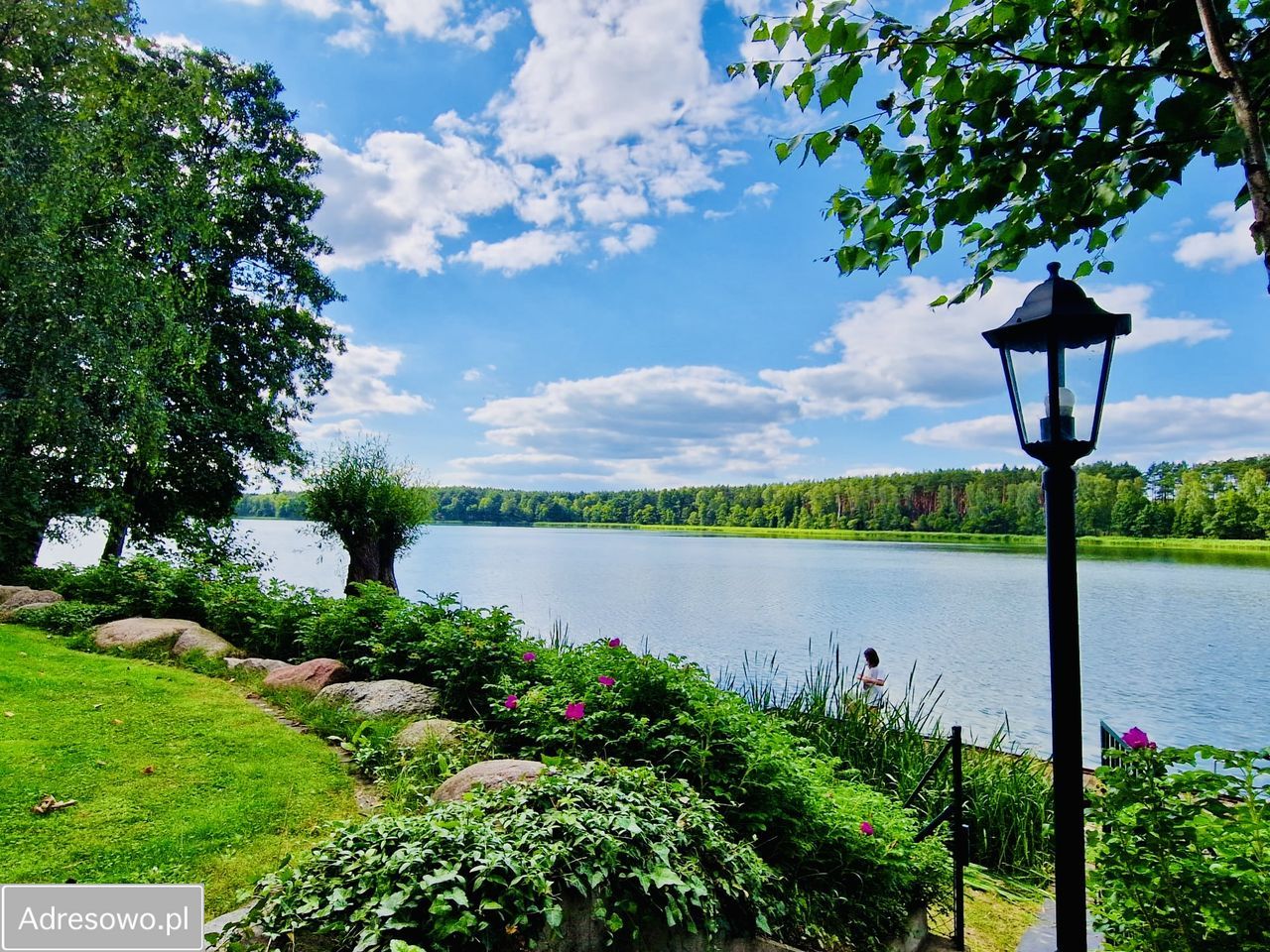 dom wolnostojący, 5 pokoi Biała. Zdjęcie 19