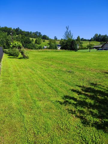 Działka budowlana Siary. Zdjęcie 1