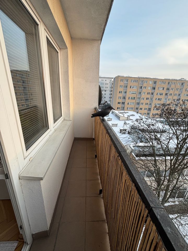 Mieszkanie 3-pokojowe Warszawa Ochota, ul. Grójecka. Zdjęcie 9