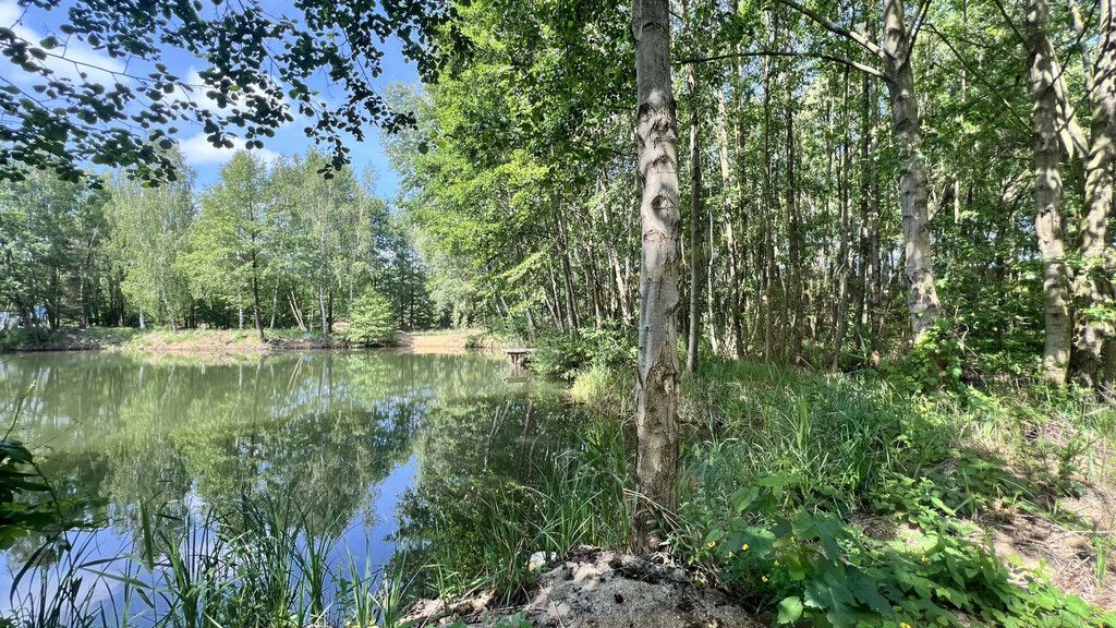 Działka rekreacyjna Osieczna. Zdjęcie 23