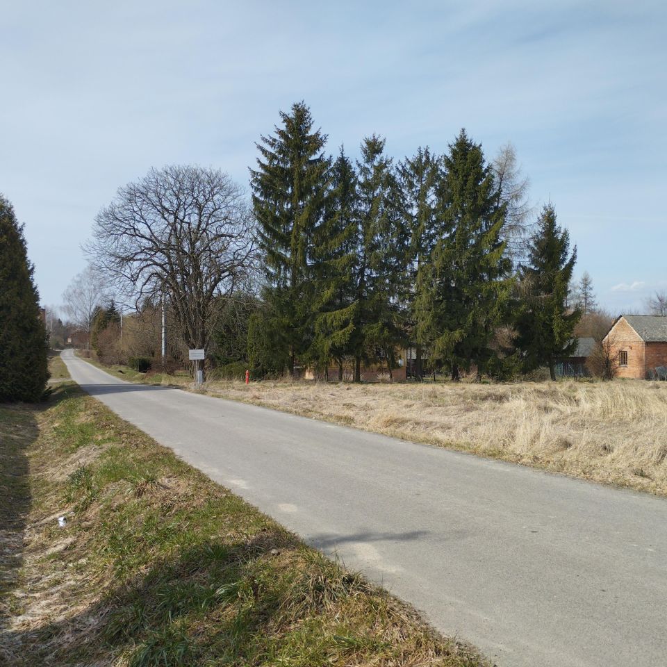 Działka siedliskowa Słupeczno. Zdjęcie 8