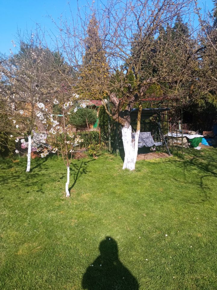 Działka rod Oleśnica, ul. Wileńska. Zdjęcie 6