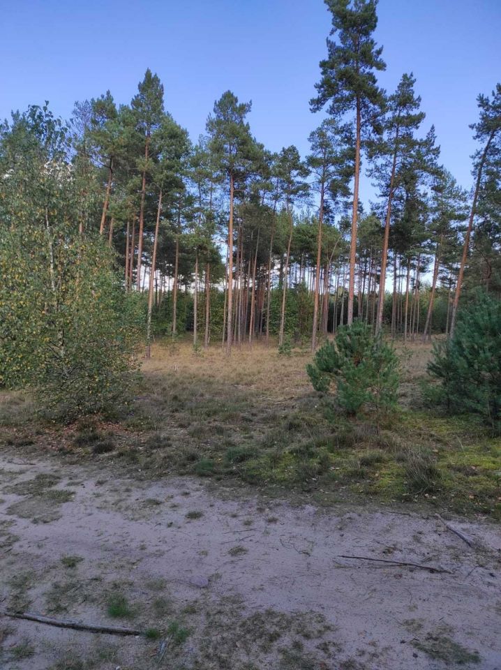 Działka rekreacyjna Konarzyny. Zdjęcie 1