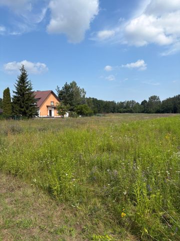 Działka siedliskowa Ciepłe, ul. Makowa. Zdjęcie 1
