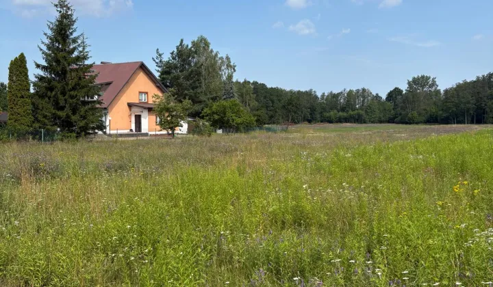 Działka siedliskowa Ciepłe, ul. Makowa