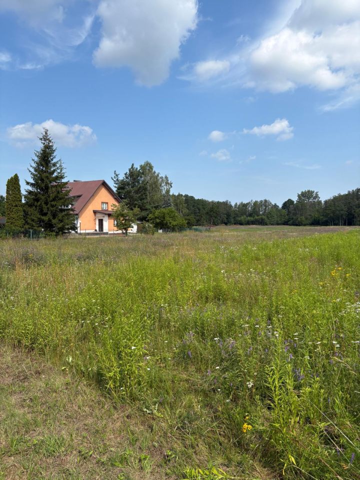 Działka siedliskowa Ciepłe, ul. Makowa. Zdjęcie 1