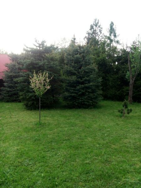 dom wolnostojący, 6 pokoi Kraków Swoszowice, ul. Jana Aleksandra Gorczyna. Zdjęcie 9