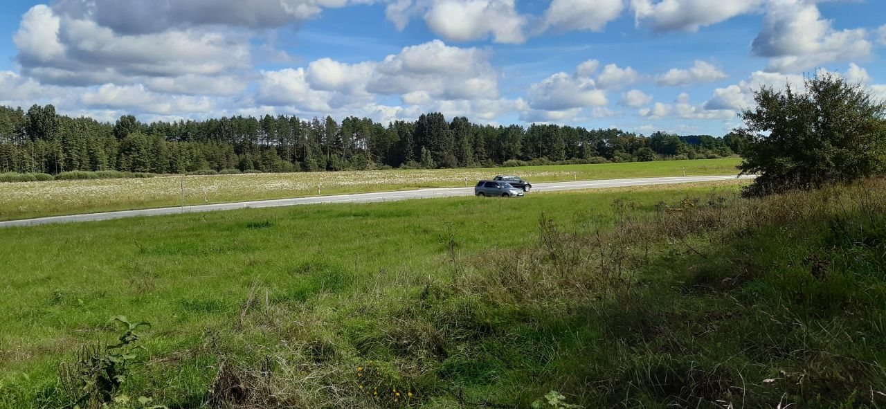 Działka rekreacyjna Boćwinka. Zdjęcie 10
