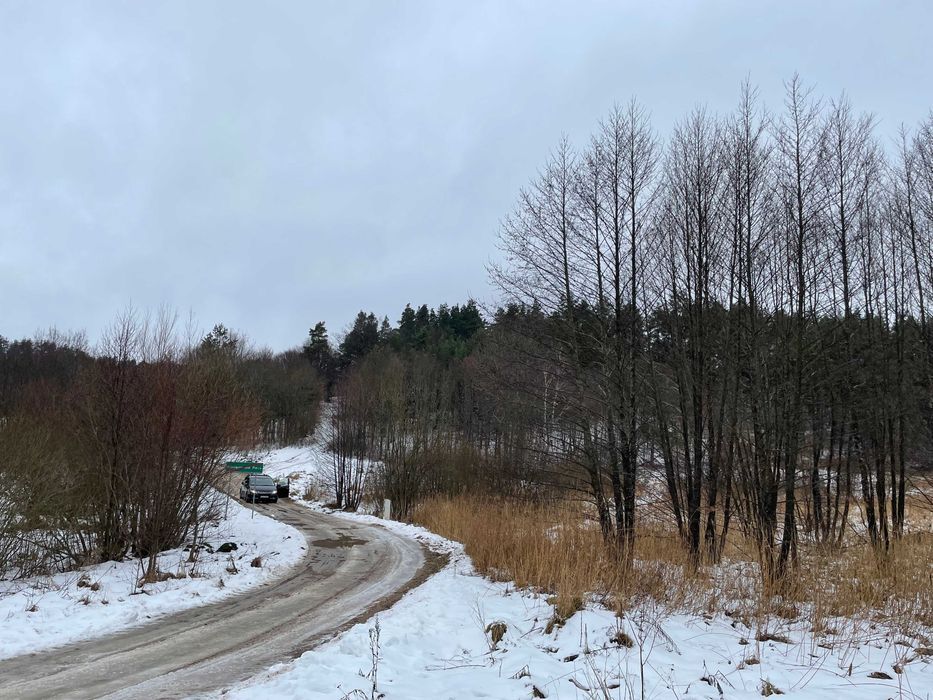 Działka rolna Bożepole Królewskie. Zdjęcie 6