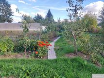 Działka rod Warszawa Włochy, ul. Paluch. Zdjęcie 2