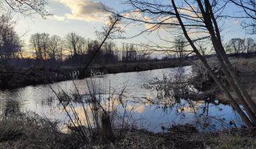 Działka budowlana Radzewice, ul. Konwaliowa