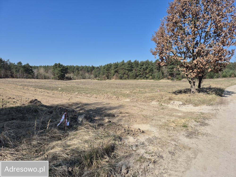 Działka rekreacyjna Chłopowo. Zdjęcie 10