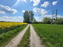 Działka rolna Nowy Stręczyn. Zdjęcie 3