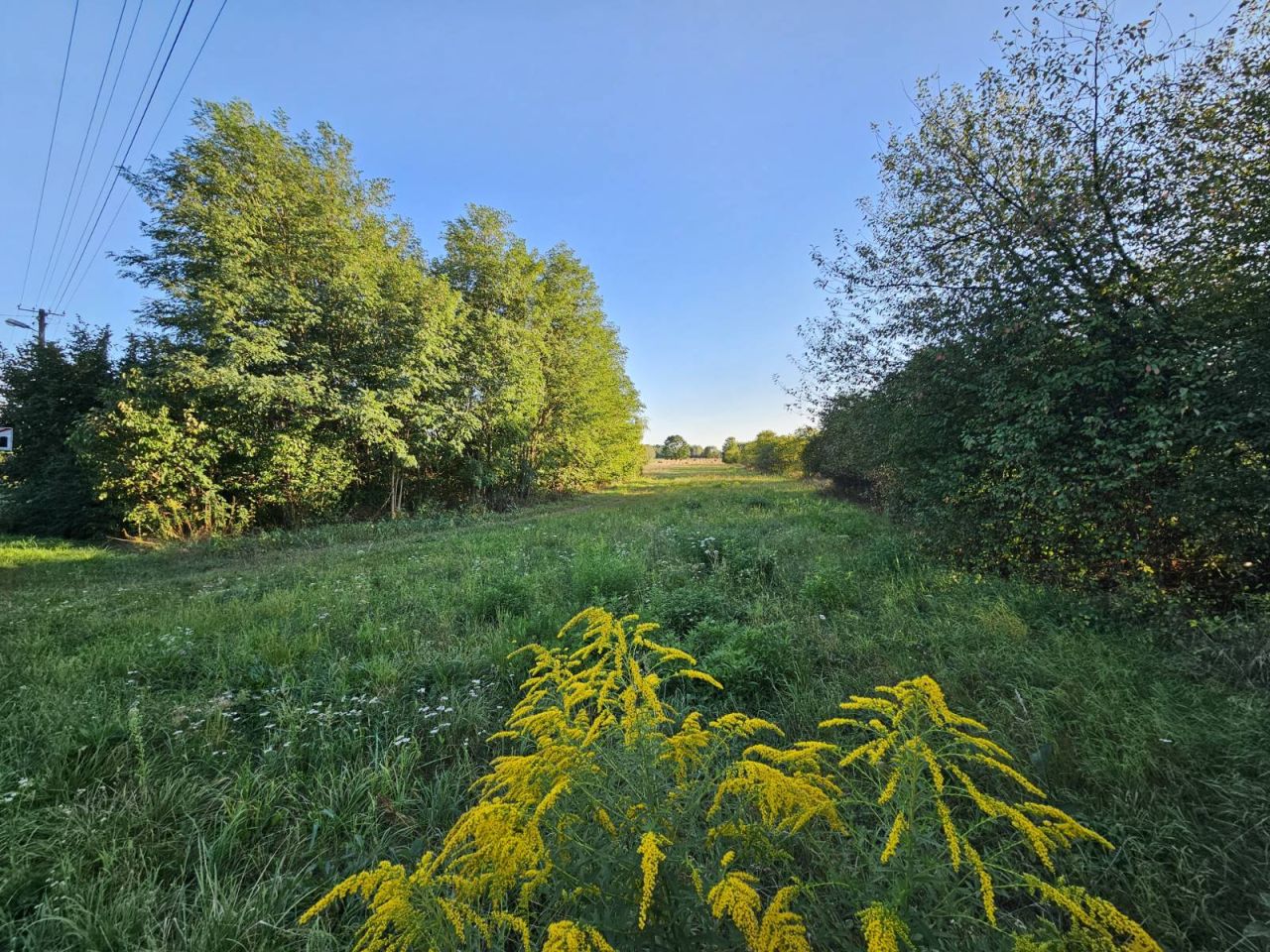 Działka budowlana Wola Pasikońska. Zdjęcie 3