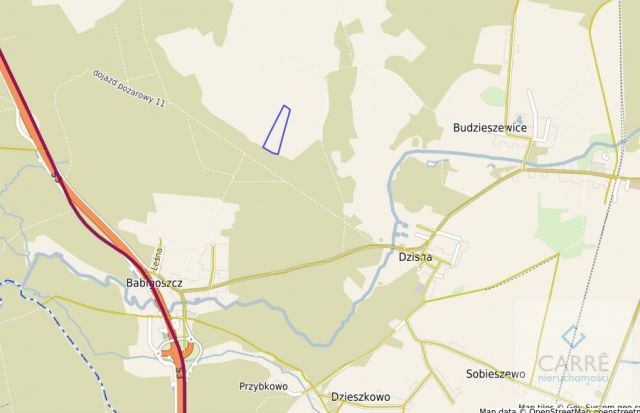 Działka rolna Budzieszewice. Zdjęcie 2