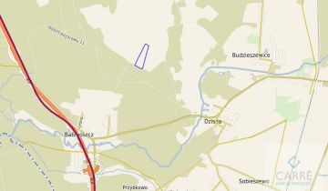 Działka rolna Budzieszewice