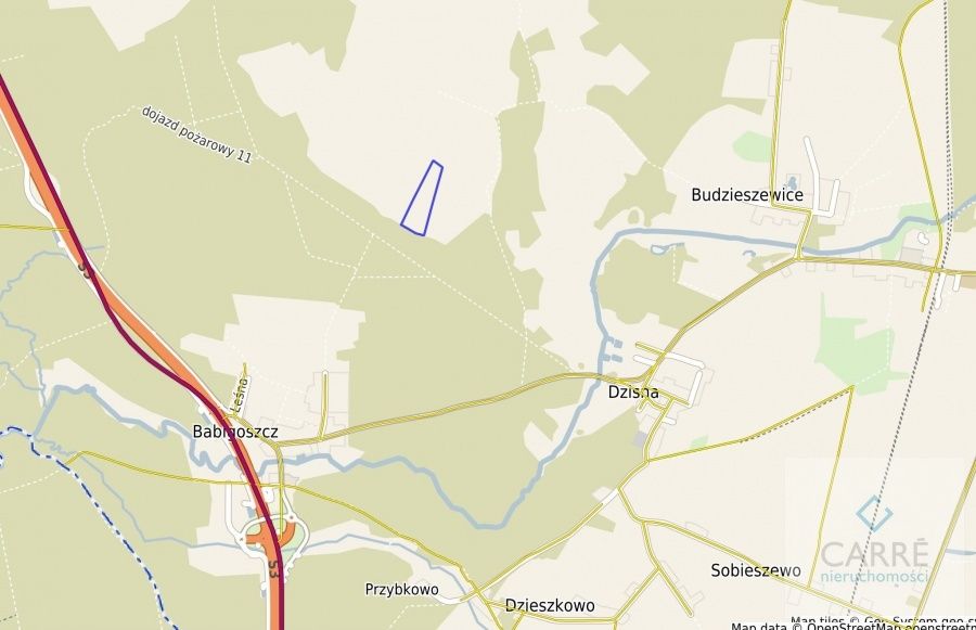 Działka rolna Budzieszewice. Zdjęcie 2