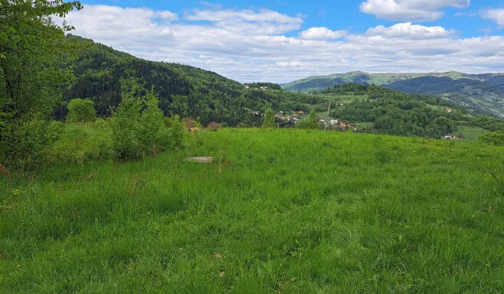 Działka budowlana Piwniczna-Zdrój